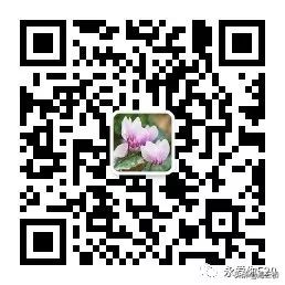 建议收藏！*子骗**利用疫情诈骗的套路，全在这了