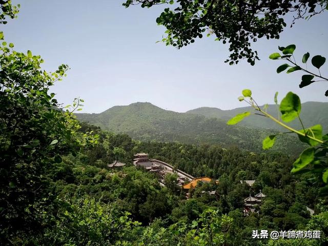 游玩北京香山公园之行,7月的北京香山公园图片