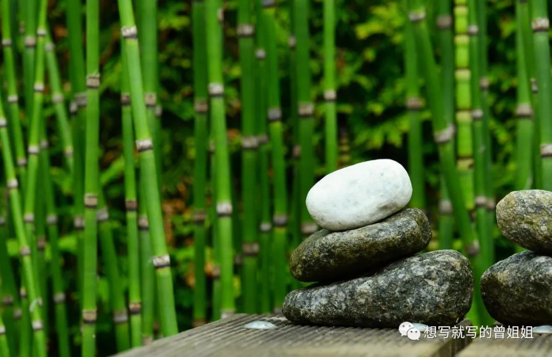 李先生的花园香水50ml,爱马仕李先生的花园香水