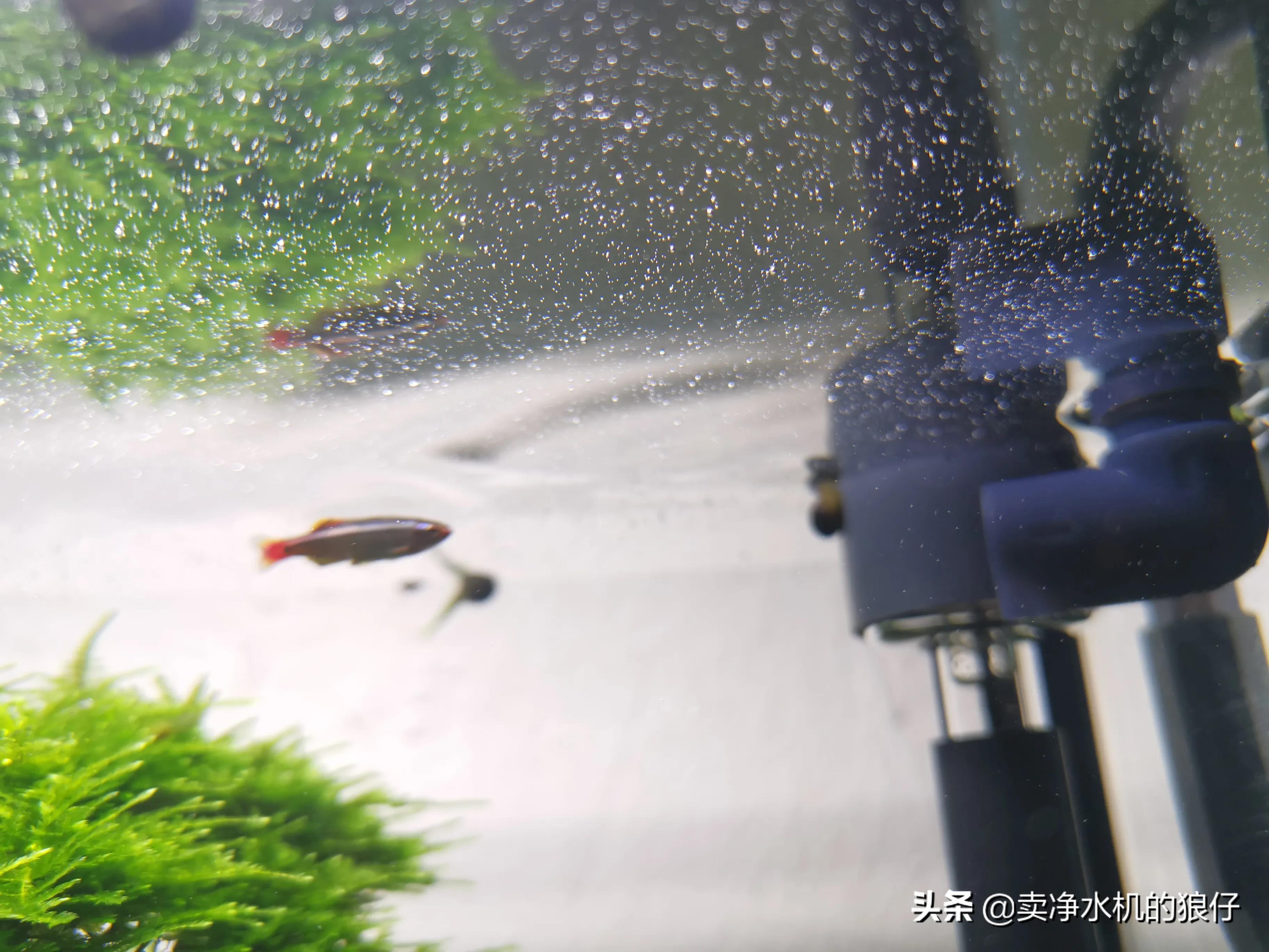 鱼缸过滤器失效,如何判断干燥过滤器失效