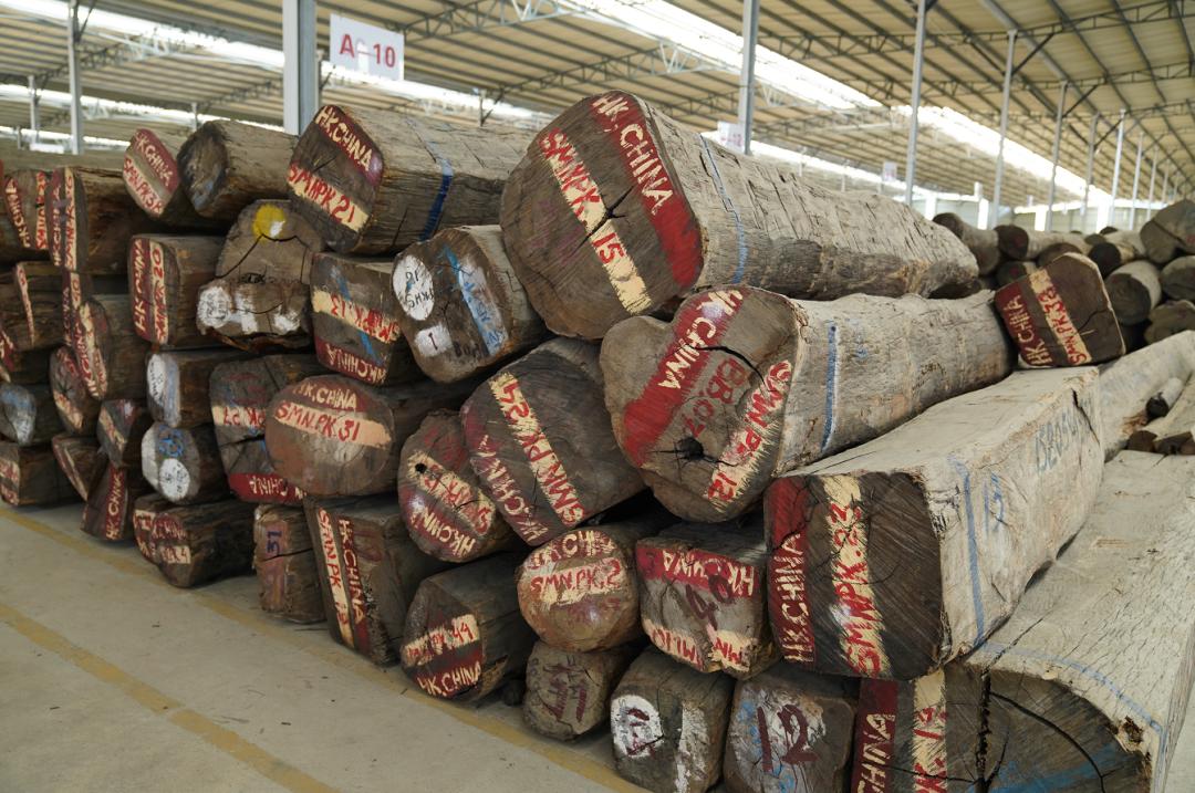 大果紫檀缅甸花梨图片,大果紫檀缅甸花梨价格