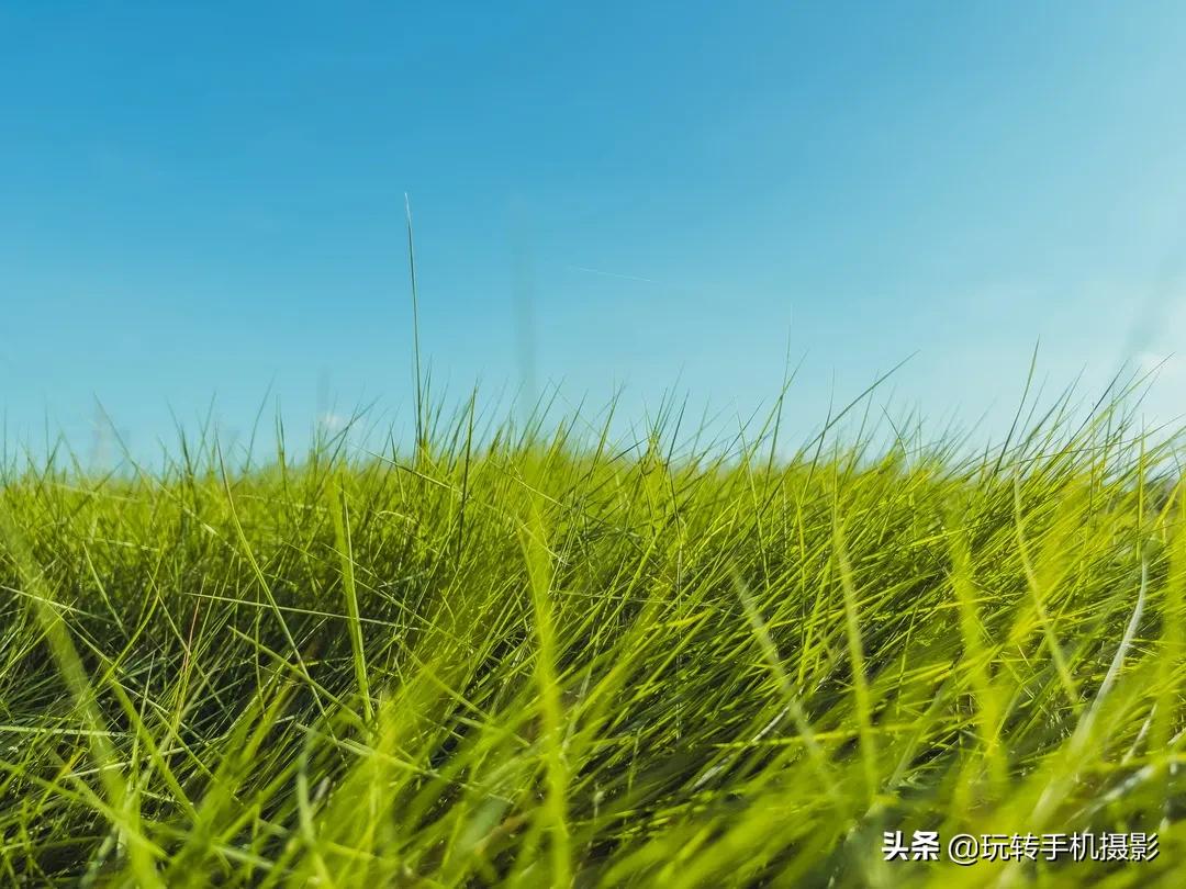 为什么有些人手机拍照那么好看,为什么手机拍照的人越来越多