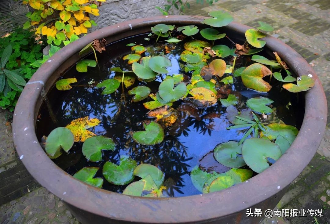 最浓南阳味儿丨工农南路：走进一段被岁月掩埋的时光