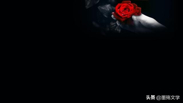 玉树琼花迎新春,玉树琼花