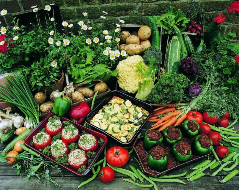 新农业和农业啥区别,什么是农业