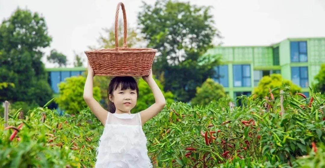 红光新城西安市,红光新城