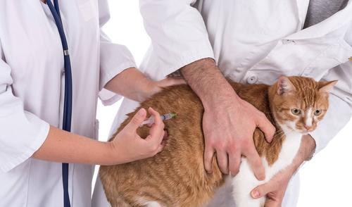 农学专业将来的就业方向,农学类就业很差么