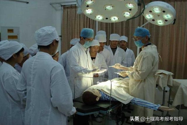 想学医上湖北哪些医科大学,想学医生报考哪个大学最好