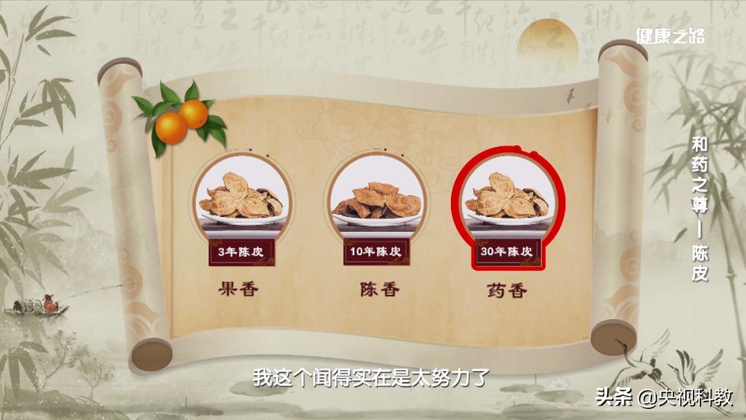 陈皮的十大秘密,陈皮是怎么变黄金