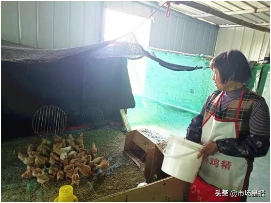 小额贷款助贫困户创业致富,扶贫小额贷款助力贫困户