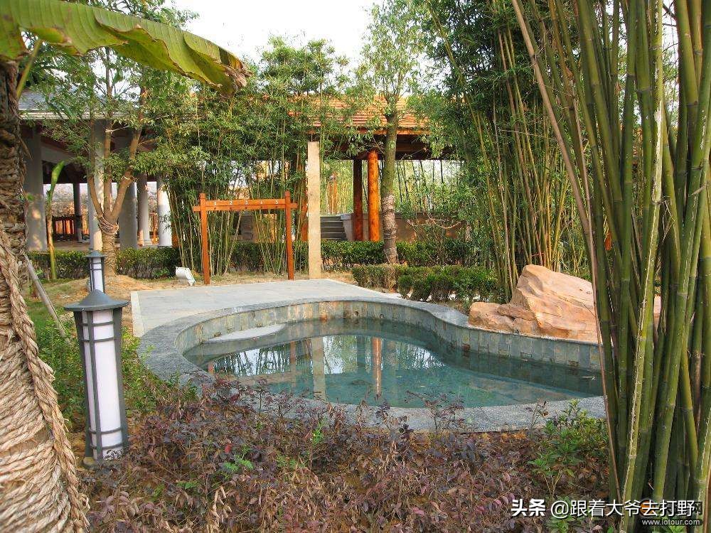 山湖温泉惠游湖北,惠游湖北温泉预约