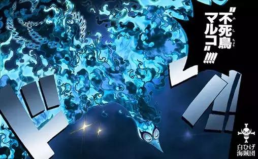 海贼王马尔科有不死能力吗,海贼王白胡子马尔科