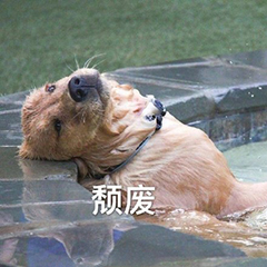 手机照片和视频太多很占内存？这样保存，既省出一大半内存又安全