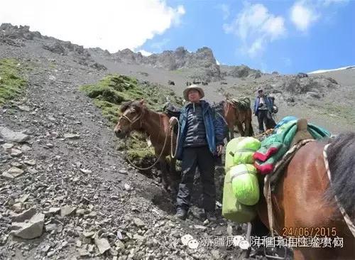 玛纳斯探奇之旅,新疆探秘伊犁