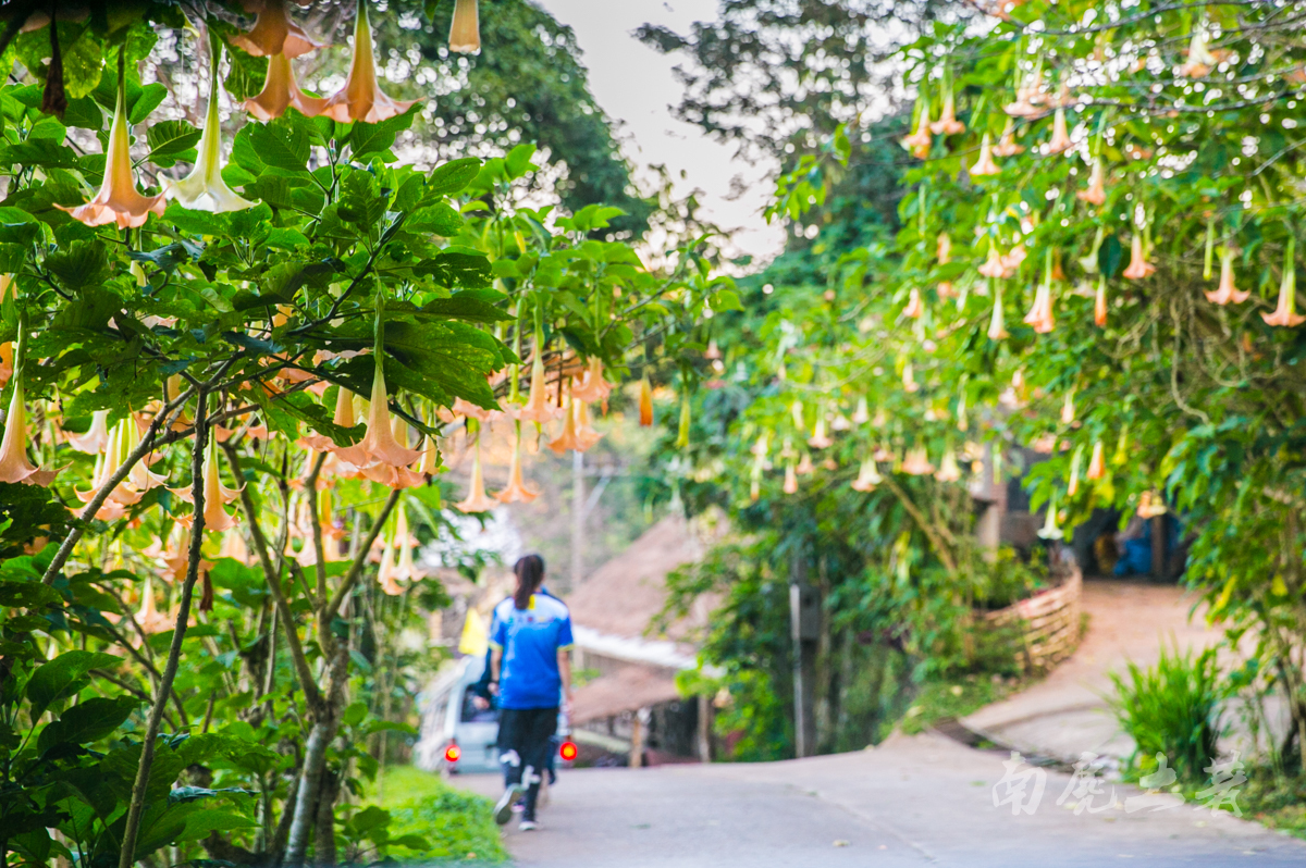 泰国最美梯田,泰国风景名胜有哪些