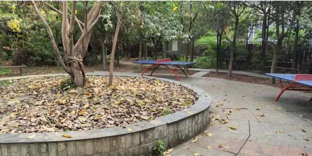 建设路附近学区房,热门双半径学区房