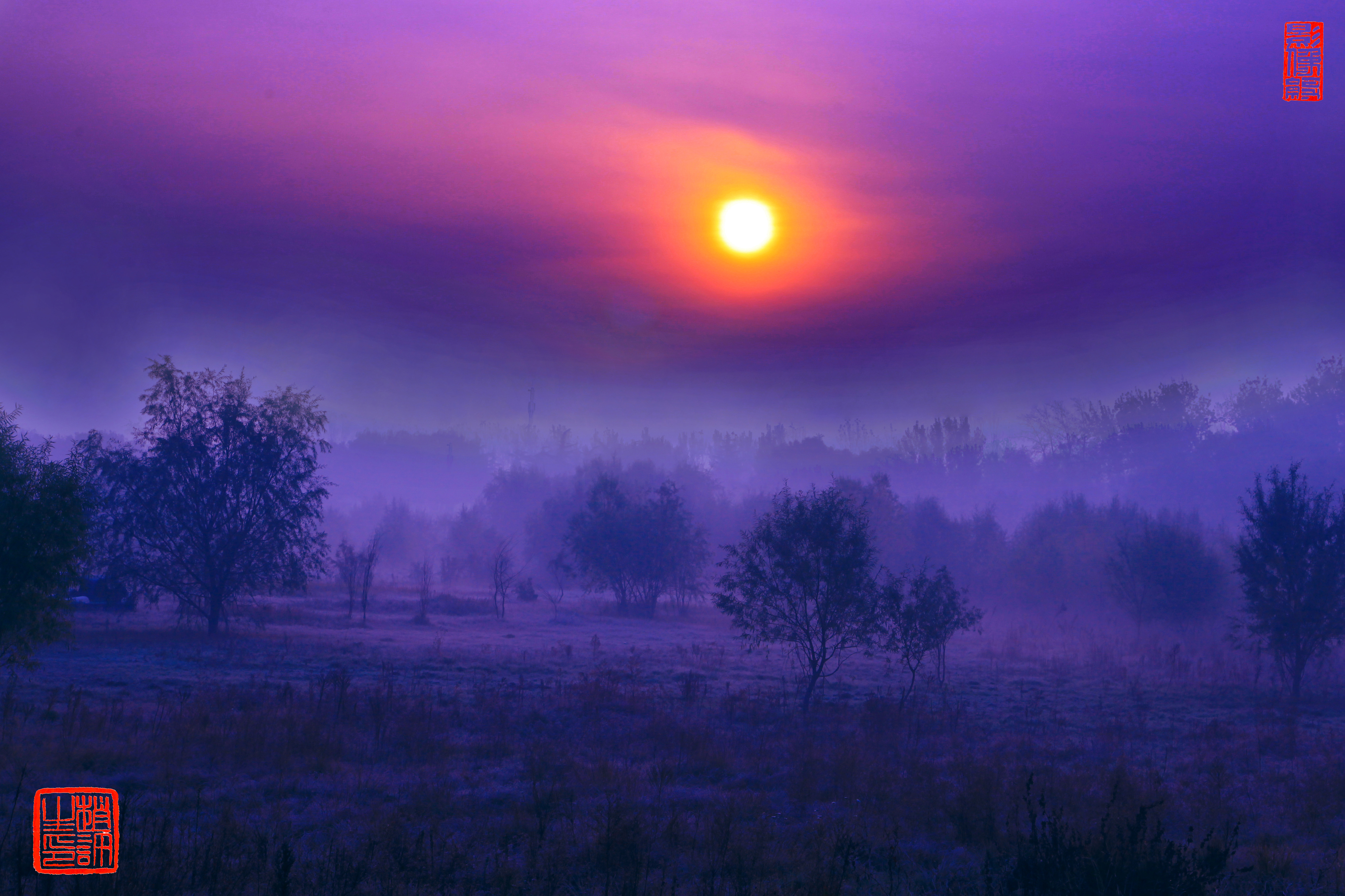 有人问摄影是什么意思,有人问摄影是什么