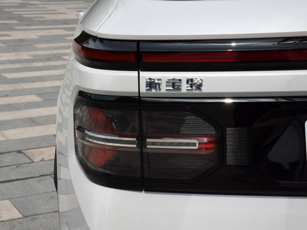 隆鑫无极650ds最新消息,新款隆鑫无极650街车