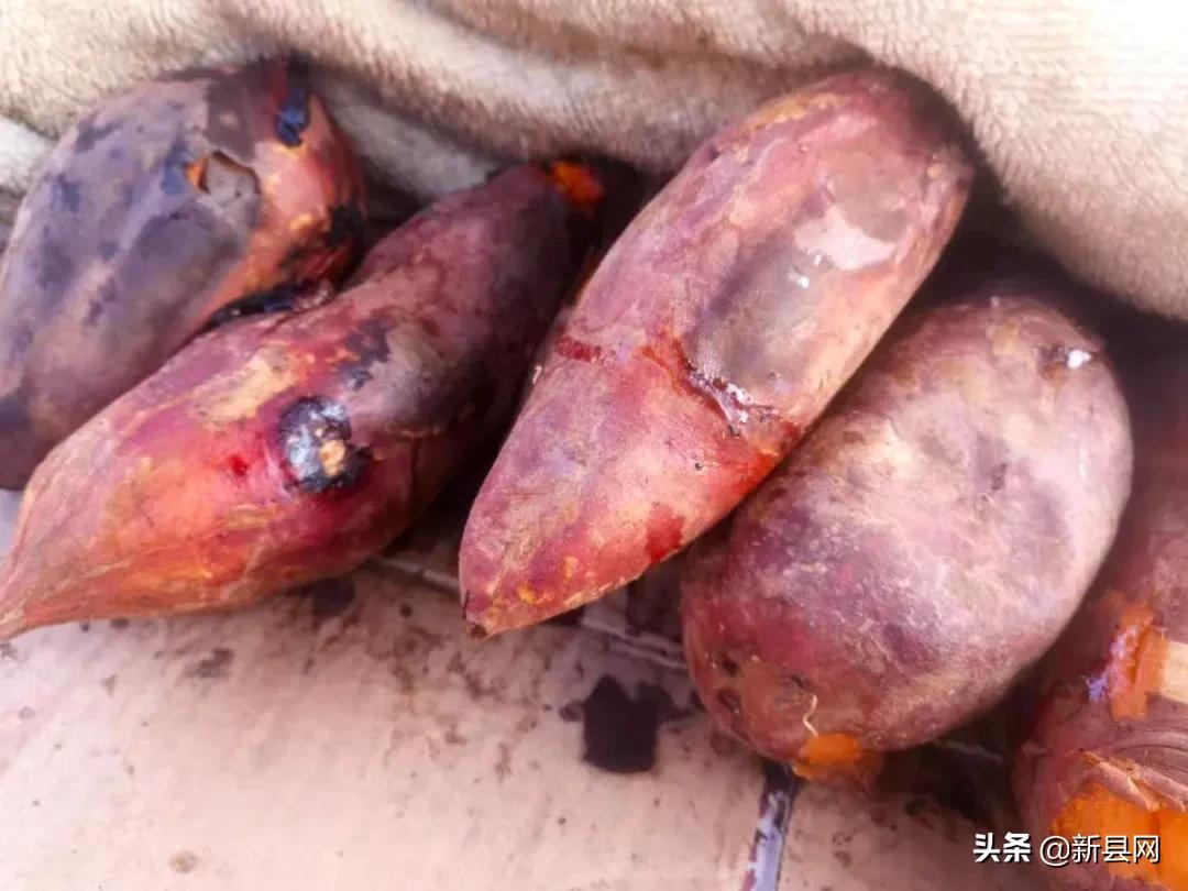 校园门口最让你怀念的小吃,那些校园门口的小吃你们还怀念吗