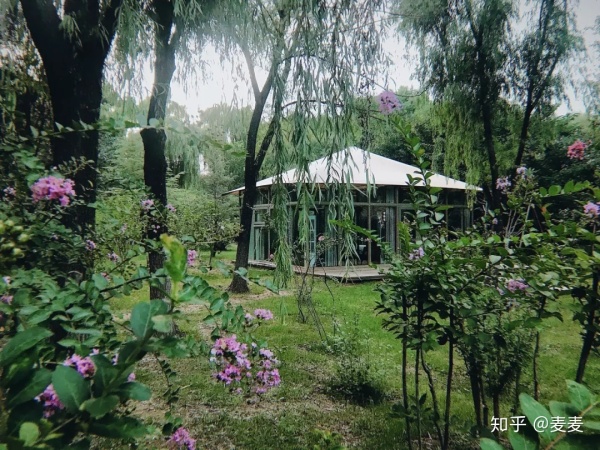 野生动物园长隆游玩攻略,野生动物园长隆攻略图片