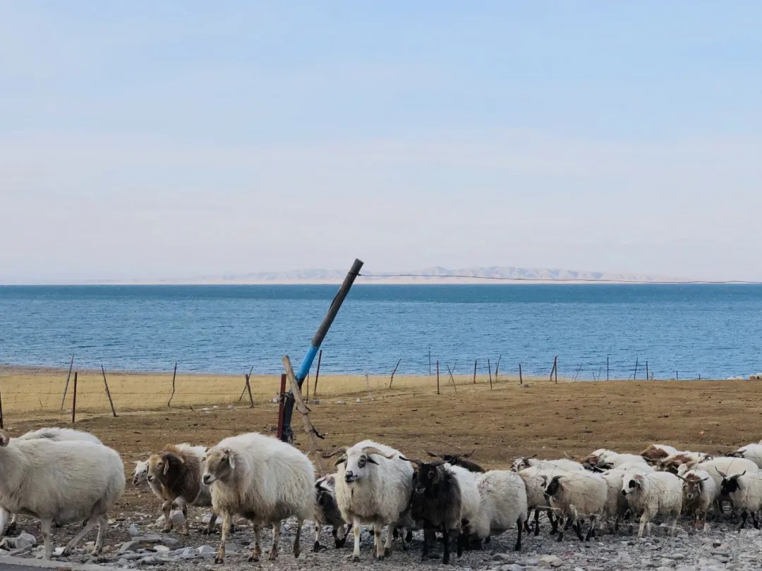 青海西宁是座怎样的城市,西宁是不是最具幸福感城市