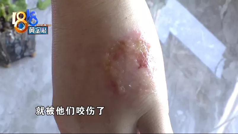 西克曼橱柜缺点,西克曼柜子有必要吗