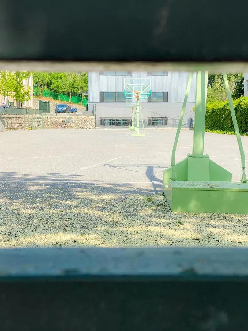 辽宁师范大学辽宁省一流课程,辽宁省普通高等院校