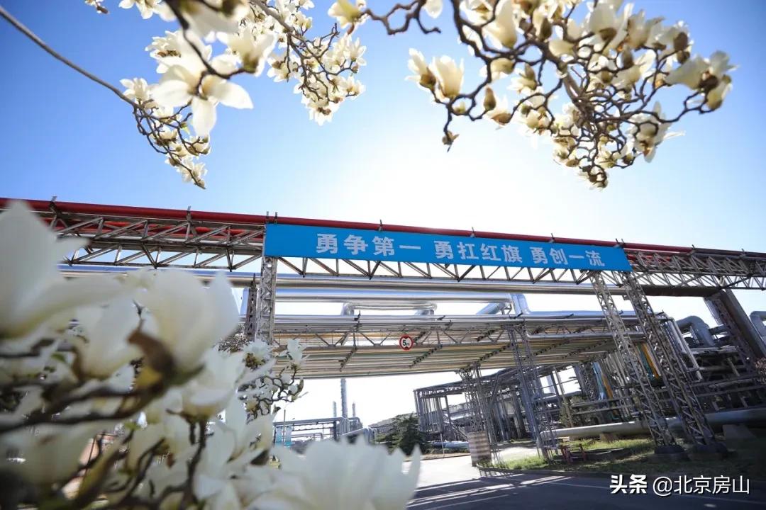 燕山石化转型,辉煌50年奋进新时代燕山石化