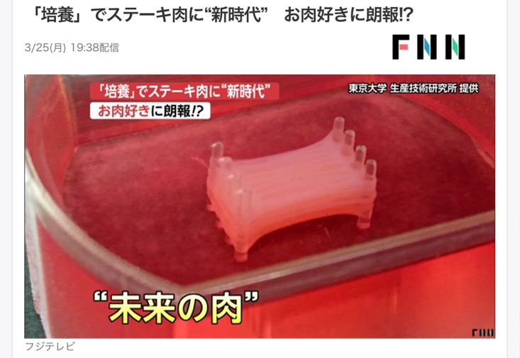 人造肉和人造奶,人造肉会取代传统肉吗