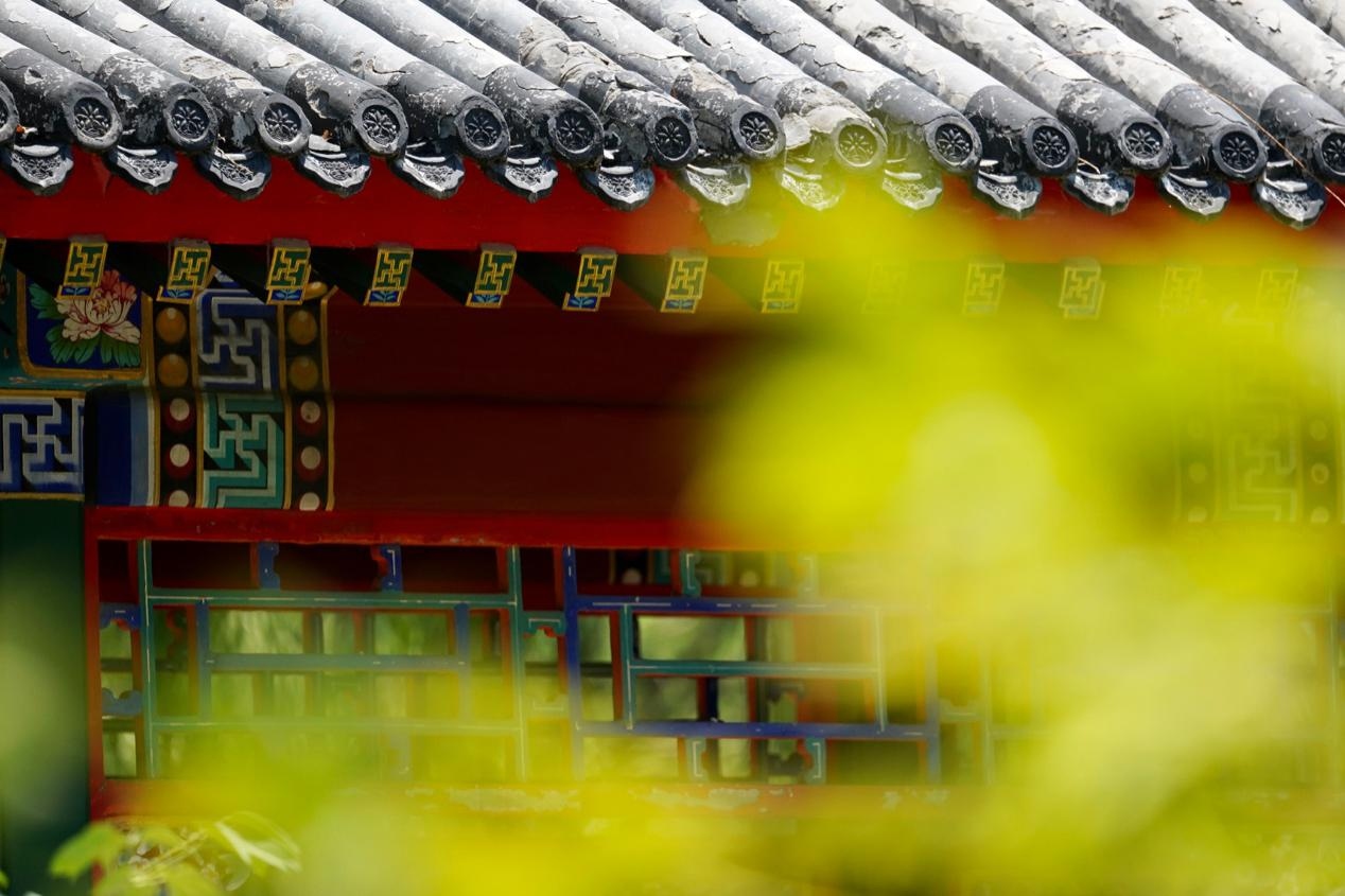 无反全能镜头,适马400mmf5.6测评