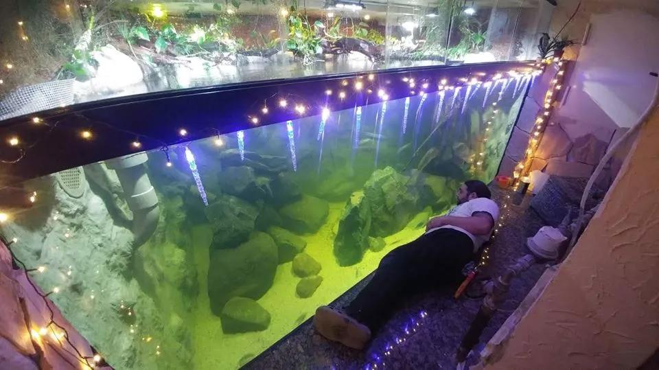 自己做大型水陆缸,在家自己打造一个沙漠缸