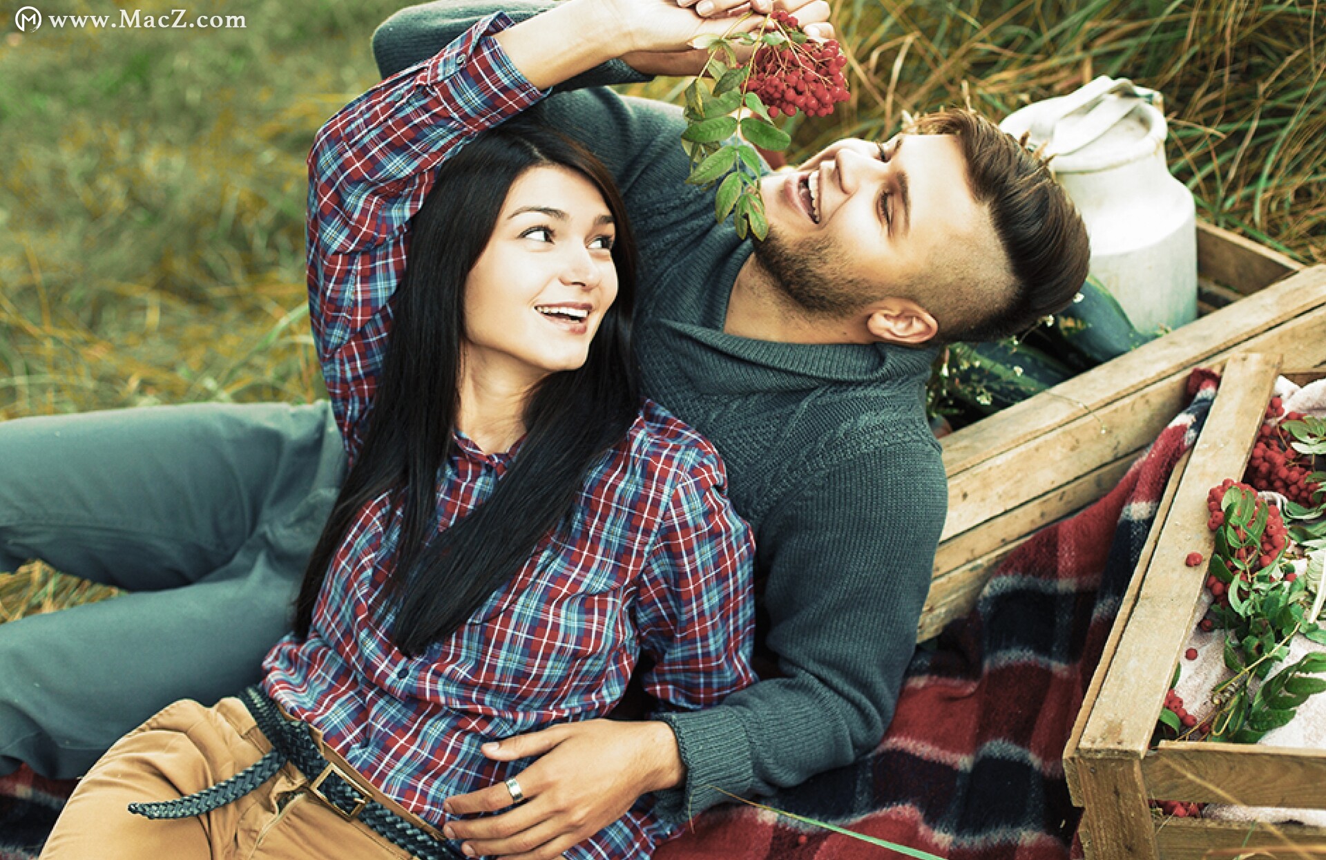 lut调色预设不见了,佳能调色预设包