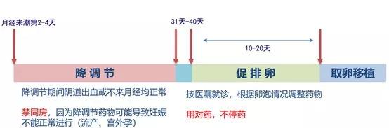 试管婴儿八大步骤,试管婴儿十个步骤