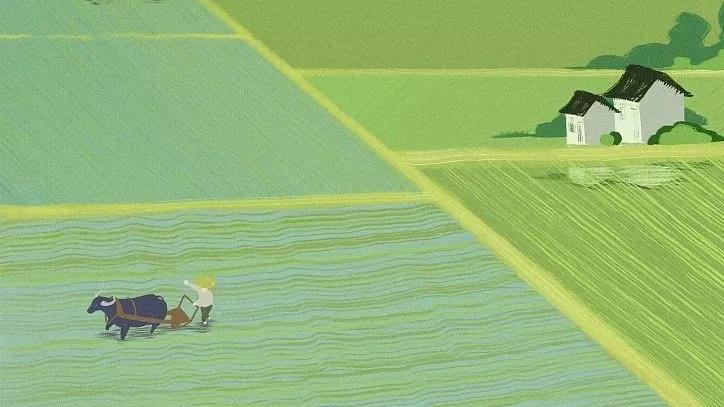 雨水丨如雨如水，温柔坚定