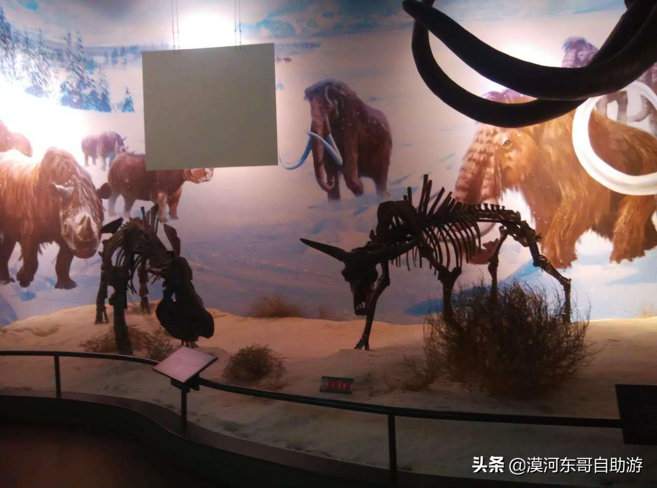 呼伦贝尔满洲里景区,呼伦贝尔旅游景点大全介绍