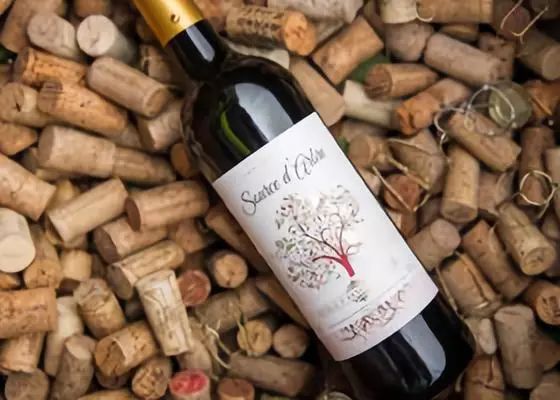 成都市跨境电商协会官网,成都市跨境电子商务协会