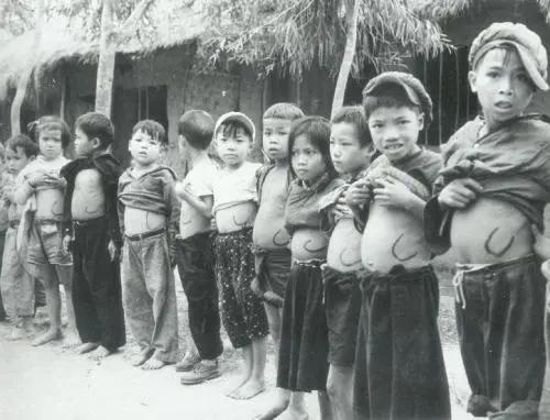 让美军损失惨重，威胁2亿人生命安全！中国神药如何攻克千年瘟疫