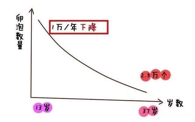 卵巢储备功能下降怎么办能治好吗,卵巢储备功能减退共识