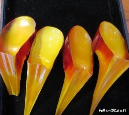 鹤顶红是哪里来的,鹤顶红的未解之谜