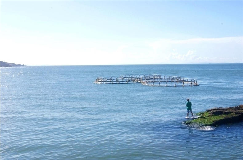海钓十大必备技巧,海钓新技巧
