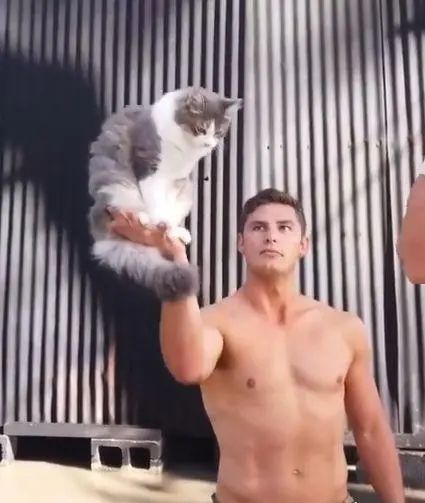 澳大利亚慈善消防员,澳大利亚消防员拯救动物