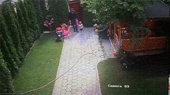 这只鹦鹉一直以为他是一只猴,所以每天都在重复做这个动作