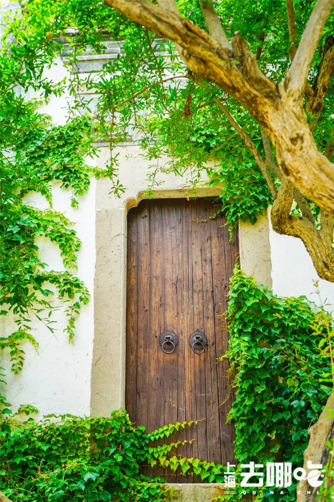 上海国庆小众旅行攻略路线图,上海出发国庆旅游攻略推荐