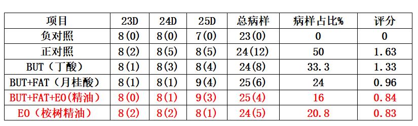 桉树精油杀疥螨,桉树长效抗虫药