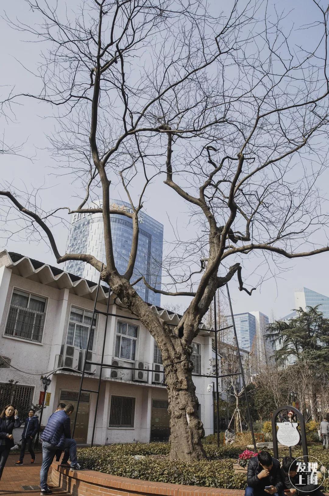 对不起！你对乍浦路一无所知