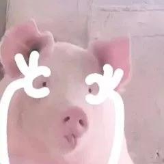 主播声线教学,新人主播怎么学习控场