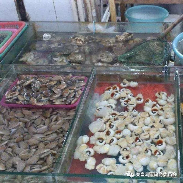 想要在秦皇岛吃到又便宜又新鲜的海鲜，就来这里！实惠不坑人