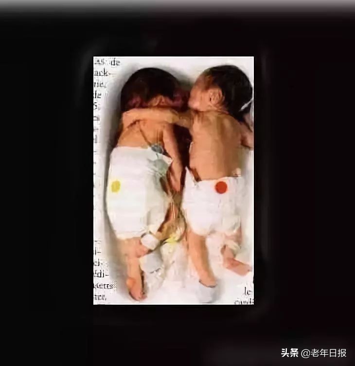 朋友圈最火的6张图片道破人性,朋友圈最火的4张图片道破人性