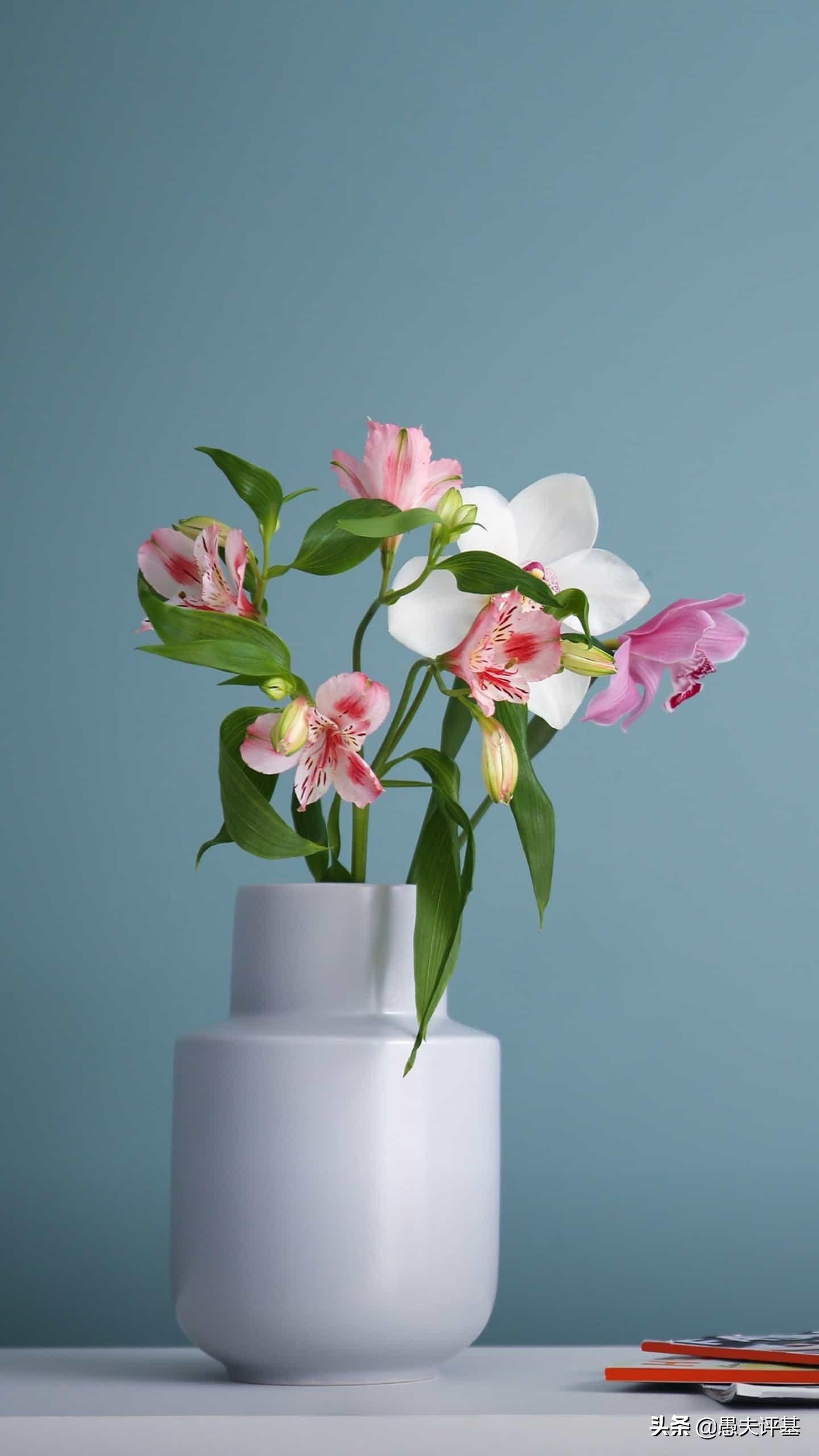 懒蚂蚁效应,懒蚂蚁效应引发的思考