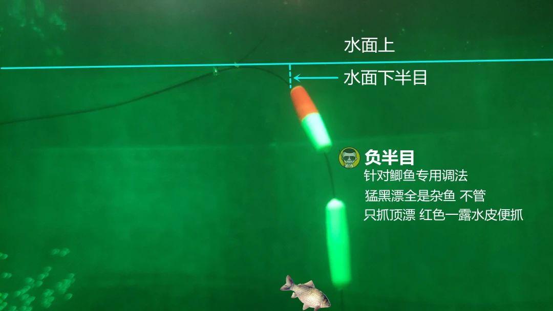 逗钓实操调漂技巧图解大全,钓鱼传统钓法是怎么调漂的
